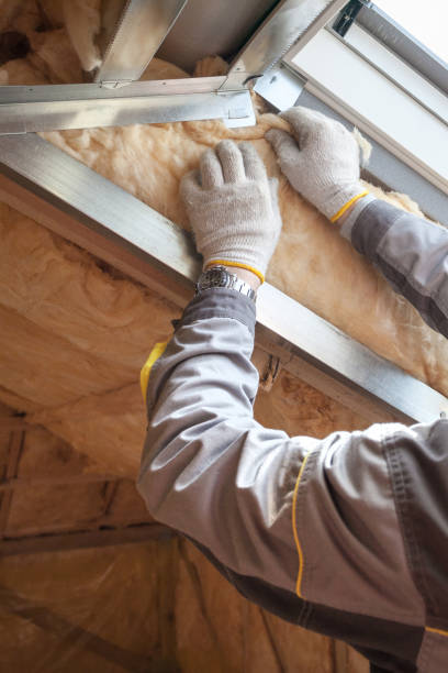 Best Insulation Maintenance and Repair in Isle Of Palms, SC