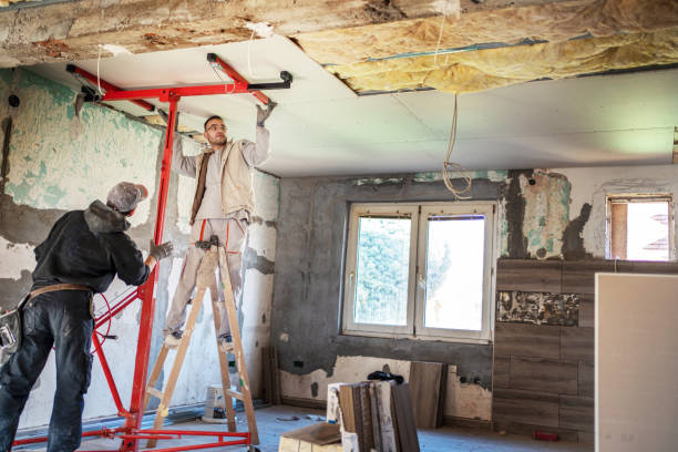 Best Eco-Friendly Insulation in Isle Of Palms, SC