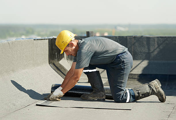 Best Geographic-Specific Insulation Services in Isle Of Palms, SC