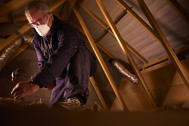 Best Cellulose Insulation in Isle Of Palms, SC