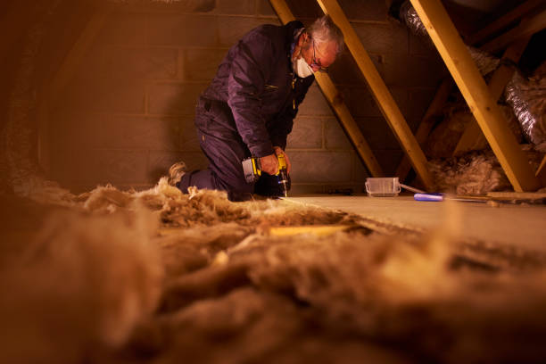 Best Blown-in Insulation in Isle Of Palms, SC
