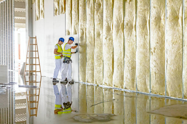 Best Specialized Insulation Services in Isle Of Palms, SC